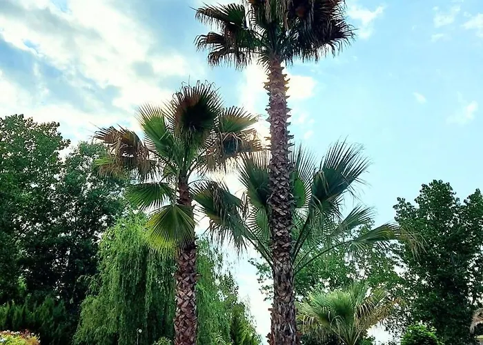 Appartement Aphrodite Roce *